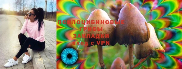 соль ск Алексин