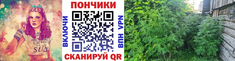 Канабис гибрид  OMG как зайти  Аргун 
